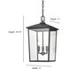 Fetterton 3 Light 11 inch Powder Coated Bronze Outdoor Hanging Lantern